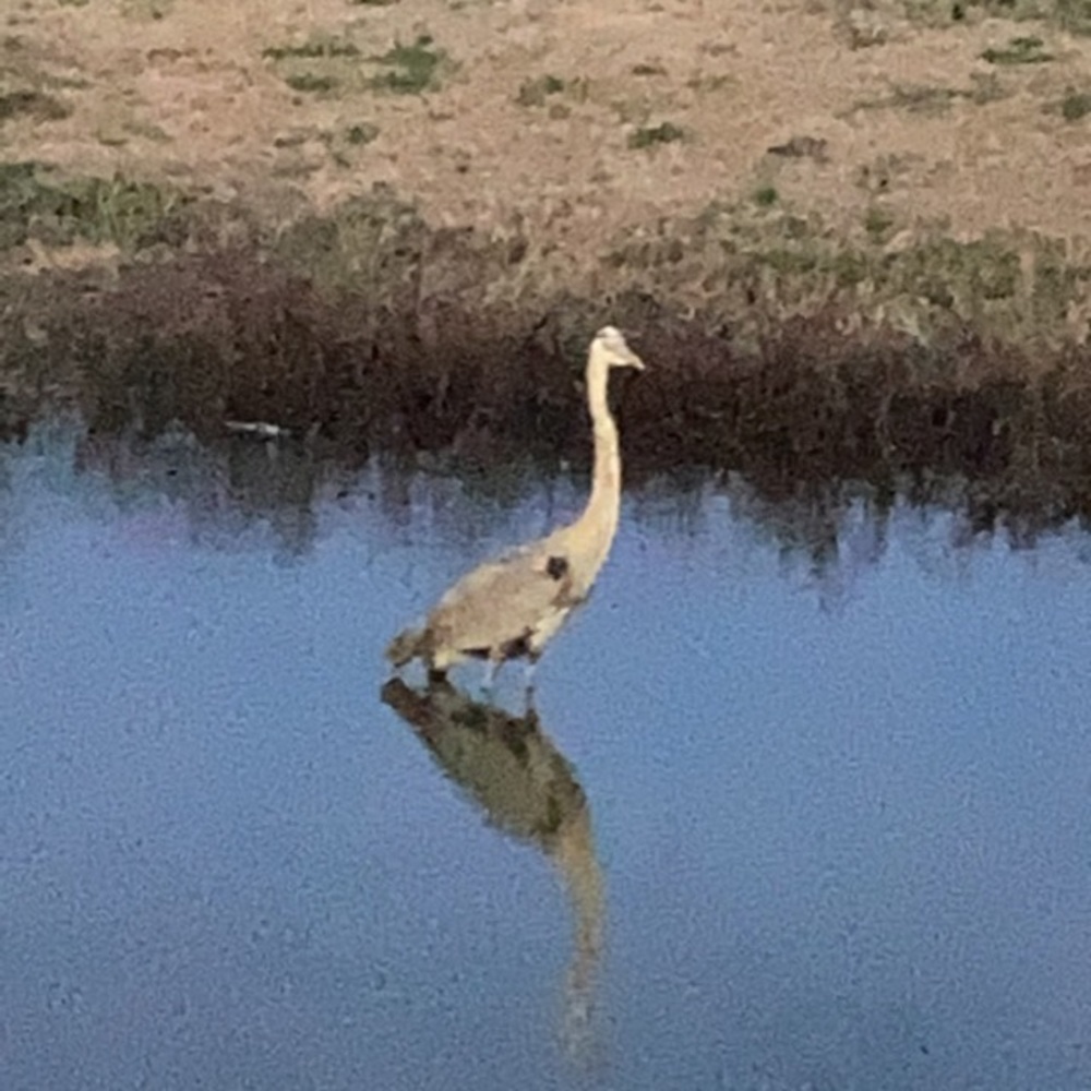 Meet your Posher, Nadia